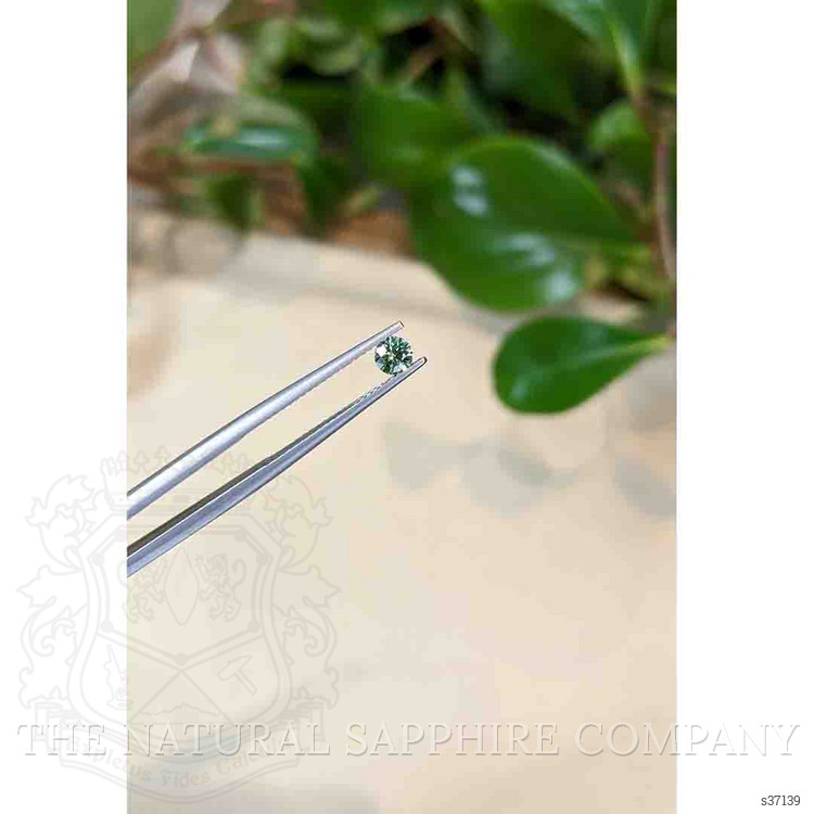 0.30 Ct. Yellowish Green Sapphire from Montana