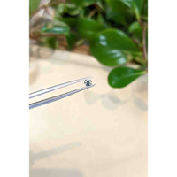 0.28 Ct. Bluish Green Sapphire from Montana Life Style