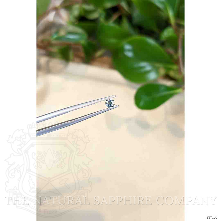 0.28 Ct. Bluish Green Sapphire from Montana