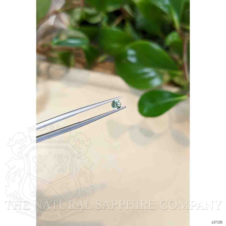 0.32 Ct. Green Sapphire from Montana