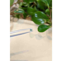 0.29 Ct. Green Sapphire from Montana Life Style