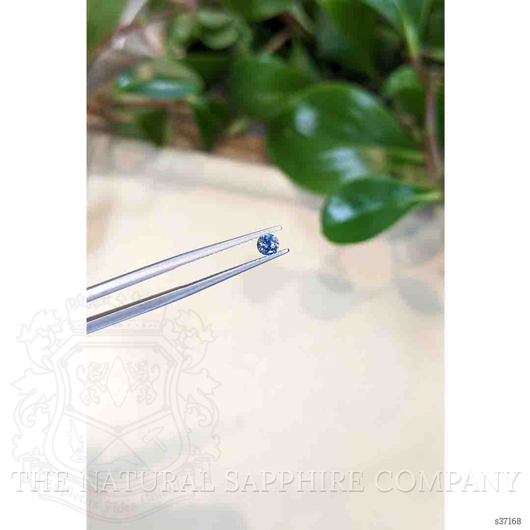 0.33 Ct. Blue Sapphire from Montana