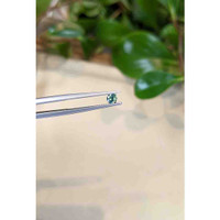 0.30 Ct. Green Sapphire from Montana Life Style
