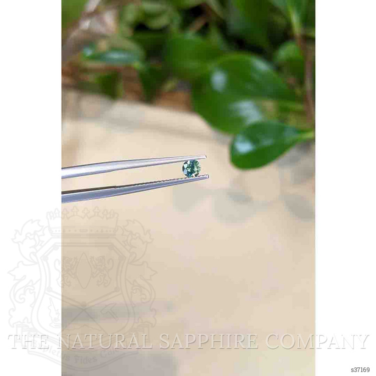 0.30 Ct. Green Sapphire from Montana
