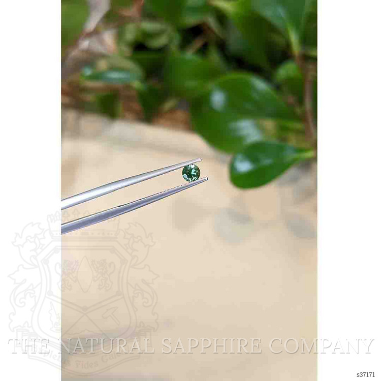 0.33 Ct. Green Sapphire from Montana