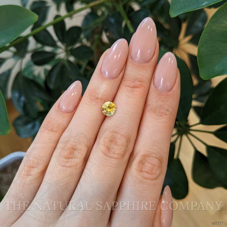 1.50 Ct. Yellow Sapphire from Montana