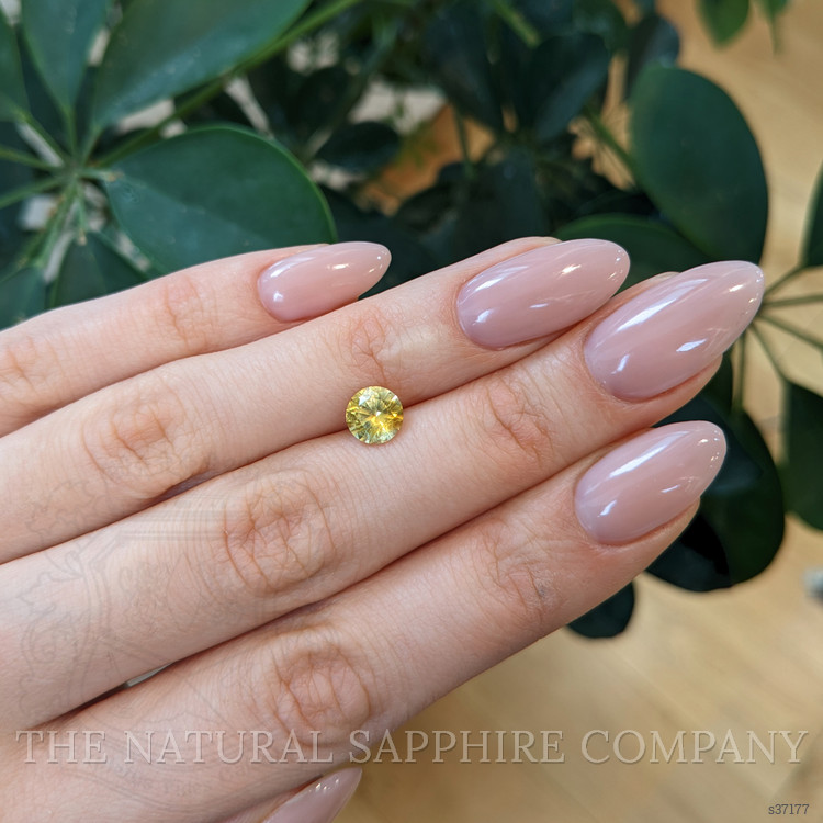 1.50 Ct. Yellow Sapphire from Montana