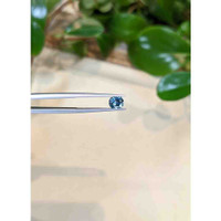 0.82 Ct. Blue Sapphire from Montana Life Style