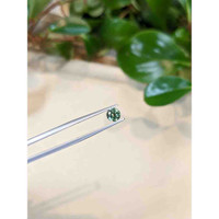 0.89 Ct. Yellowish Green Sapphire from Montana Life Style