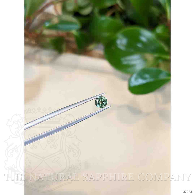 0.89 Ct. Yellowish Green Sapphire from Montana