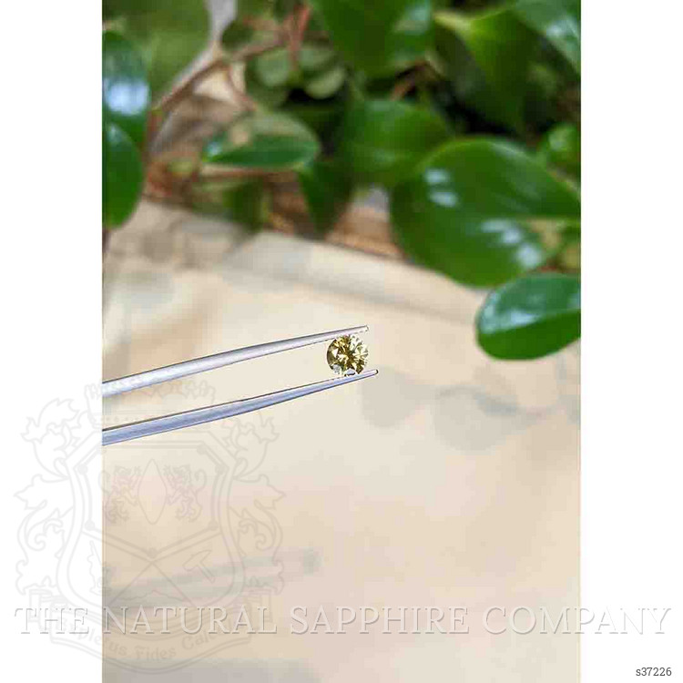 1.14 Ct. Yellow Sapphire from Montana