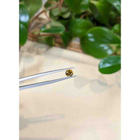 0.79 Ct. Greenish Yellow Sapphire from Montana Life Style