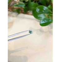 0.82 Ct. Bluish Green Sapphire from Montana Life Style