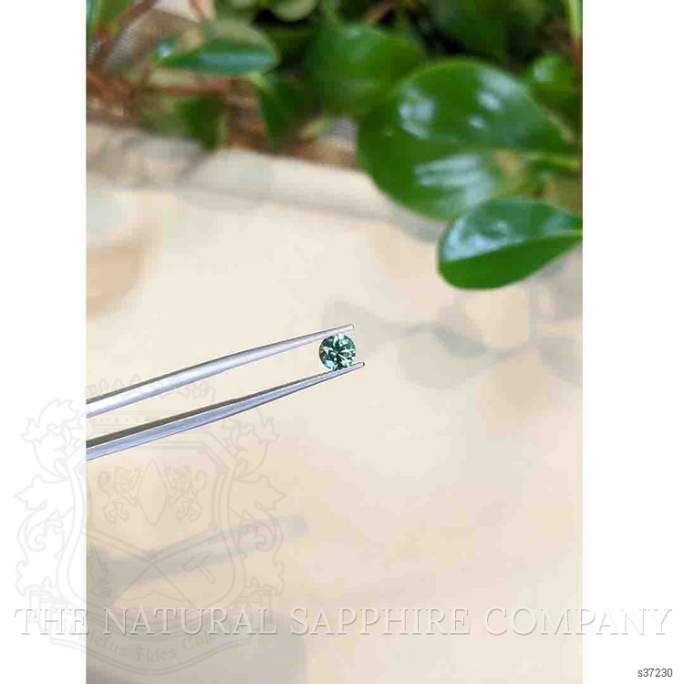 0.82 Ct. Bluish Green Sapphire from Montana
