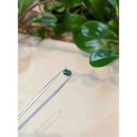 1.28 Ct. Bluish Green Sapphire from Montana Life Style