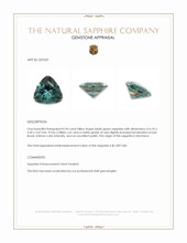0.94 Ct. Bluish Green Sapphire from Montana Appraisal