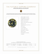 0.84 Ct. Yellowish Green Sapphire from Montana Scan Report