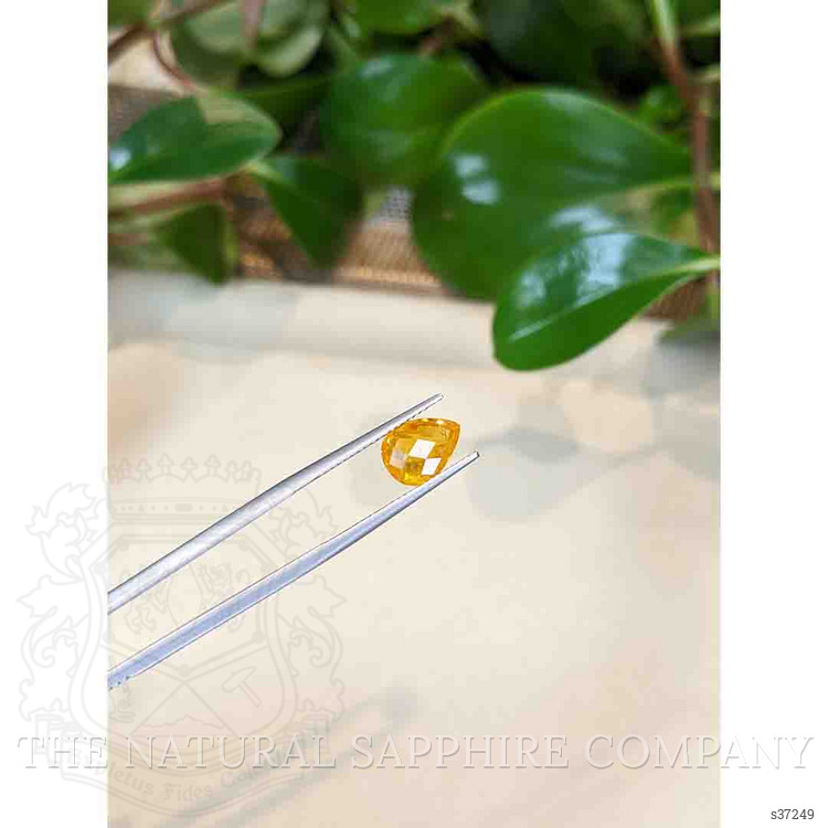 2.84 Ct. Orange Sapphire from Ceylon (Sri Lanka)