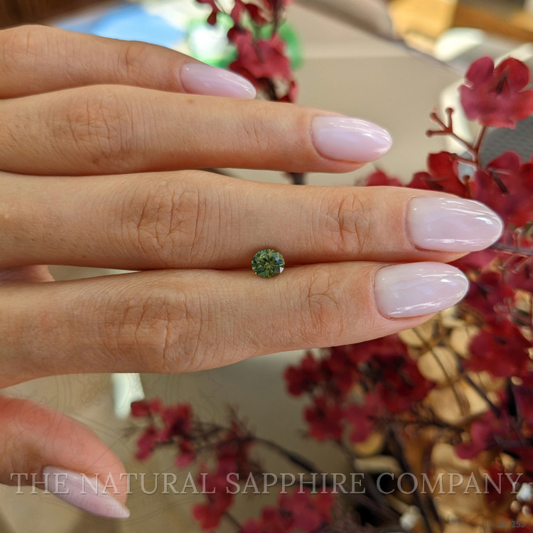 0.74 Ct. Yellowish Green Sapphire from Montana