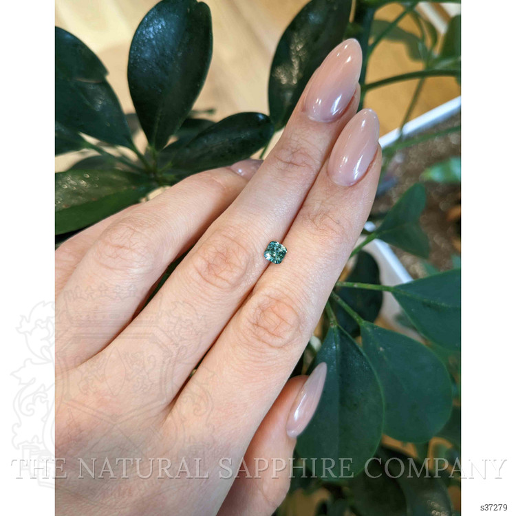 0.69 Ct. Bluish Green Sapphire from Montana