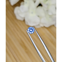 0.84 Ct. Blue Sapphire from Ceylon (Sri Lanka) Life Style