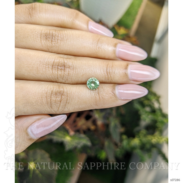 1.31 Ct. Green Sapphire from Ceylon (Sri Lanka)