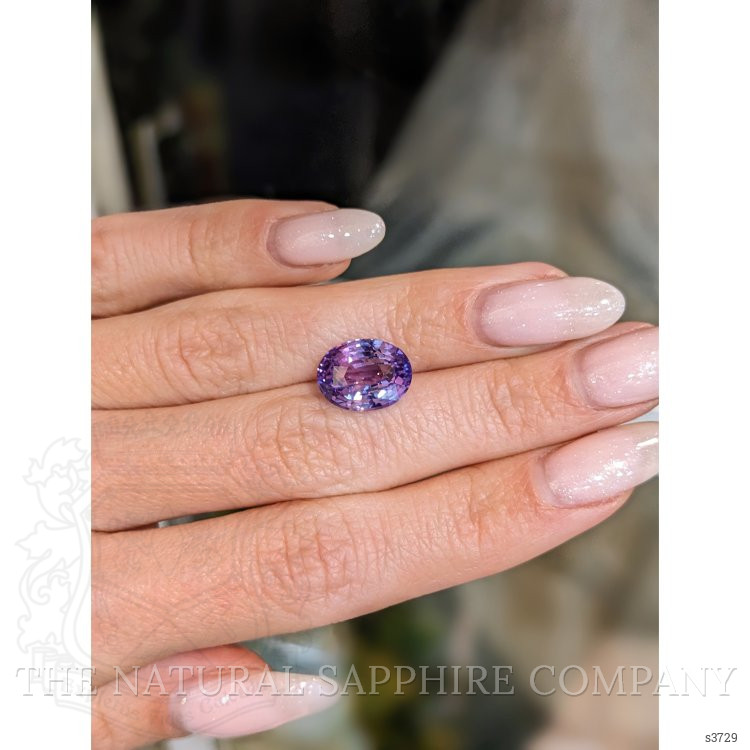 6.69 Ct. Purple Sapphire from Ceylon (Sri Lanka)