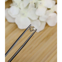 0.96 Ct. Yellowish Brown Sapphire from Ceylon (Sri Lanka) Life Style