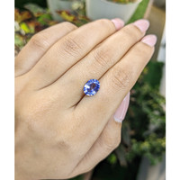 2.38 Ct. Blue Sapphire from Ceylon (Sri Lanka) Life Style