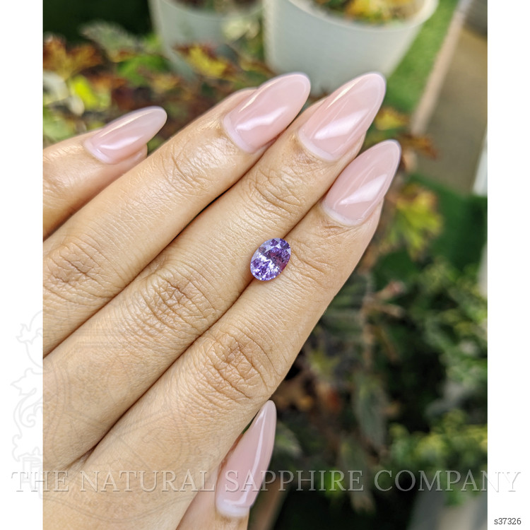 1.69 Ct. Purple Sapphire from Ceylon (Sri Lanka)