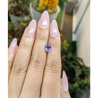 1.53 Ct. Violet Sapphire from Ceylon (Sri Lanka) Life Style