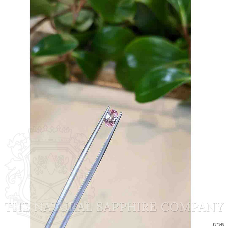 1.02 Ct. Pink Sapphire from Ceylon (Sri Lanka)