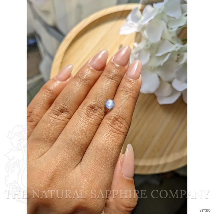 1.33 Ct. Blue Star Sapphire from Ceylon (Sri Lanka)