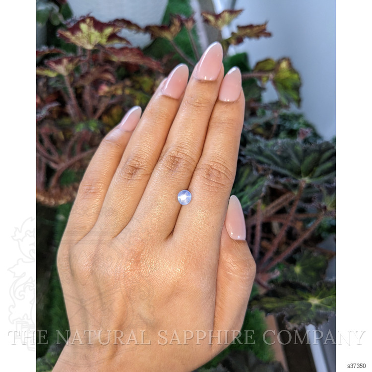 1.33 Ct. Blue Star Sapphire from Ceylon (Sri Lanka)