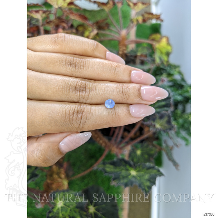 1.33 Ct. Blue Star Sapphire from Ceylon (Sri Lanka)