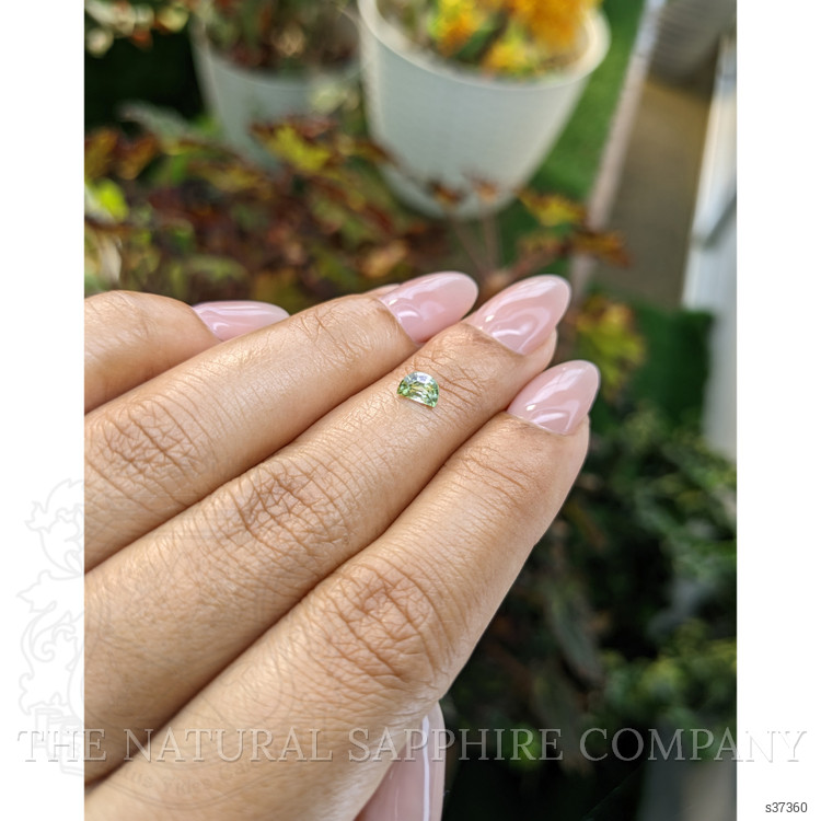 0.50 Ct. Yellowish Green Sapphire from Madagascar