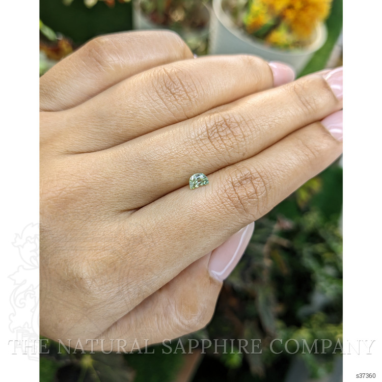 0.50 Ct. Yellowish Green Sapphire from Madagascar