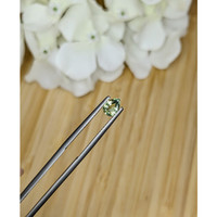 0.60 Ct. Green Sapphire from Madagascar Life Style