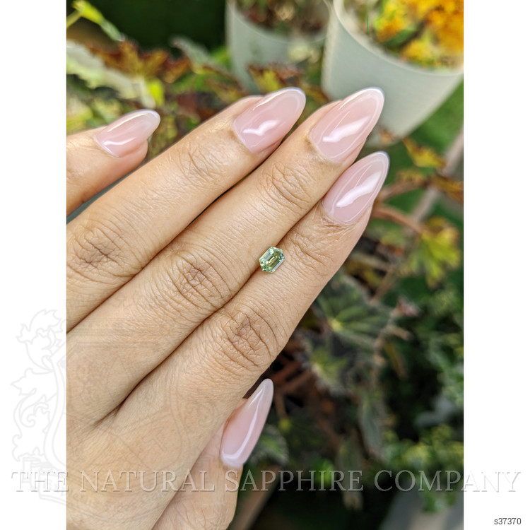 0.62 Ct. Yellowish Green Sapphire from Madagascar