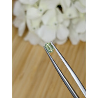 0.62 Ct. Yellowish Green Sapphire from Madagascar Life Style