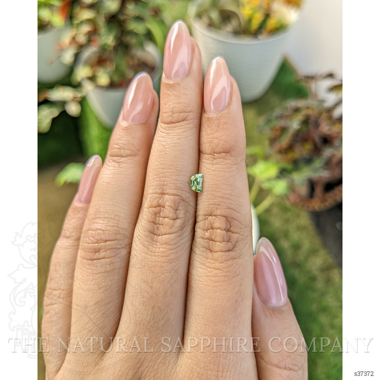 0.36 Ct. Yellowish Green Sapphire from Madagascar