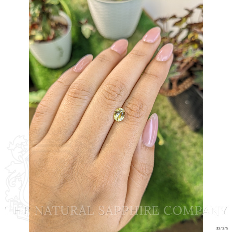 1.16 Ct. Yellow Sapphire from Ceylon (Sri Lanka)