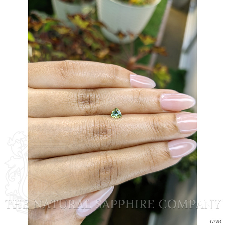 0.44 Ct. Yellowish Green Sapphire from Ceylon (Sri Lanka)