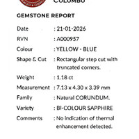 1.18 Ct. Bi Color Sapphire from Ceylon (Sri Lanka) Scan Report