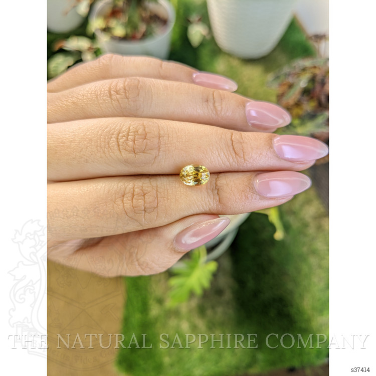 2.63 Ct. Yellow Sapphire from Ceylon (Sri Lanka)