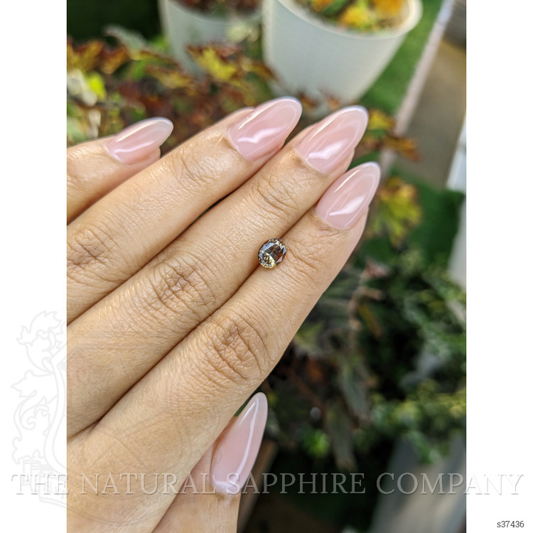 1.23 Ct. Bi Color Sapphire from Ceylon (Sri Lanka)