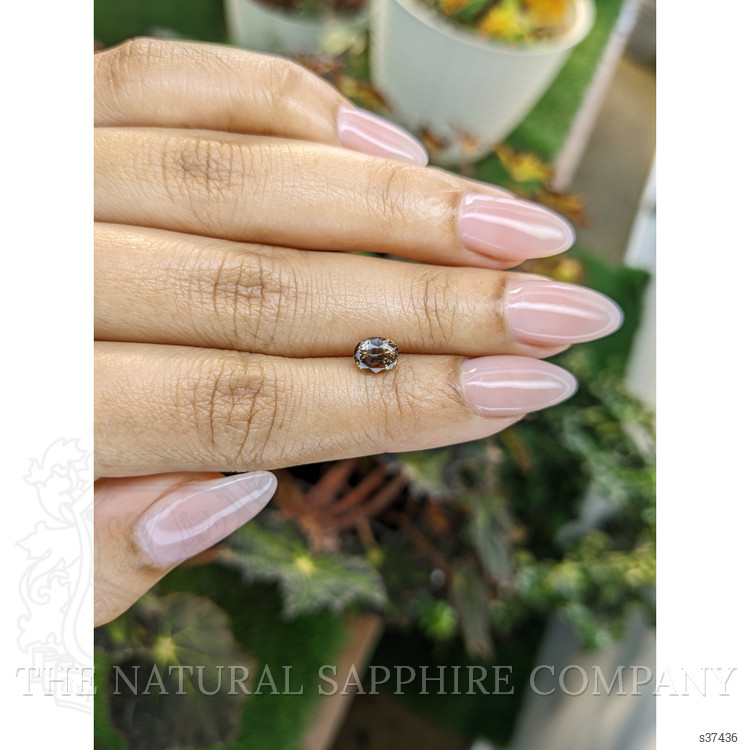 1.23 Ct. Bi Color Sapphire from Ceylon (Sri Lanka)