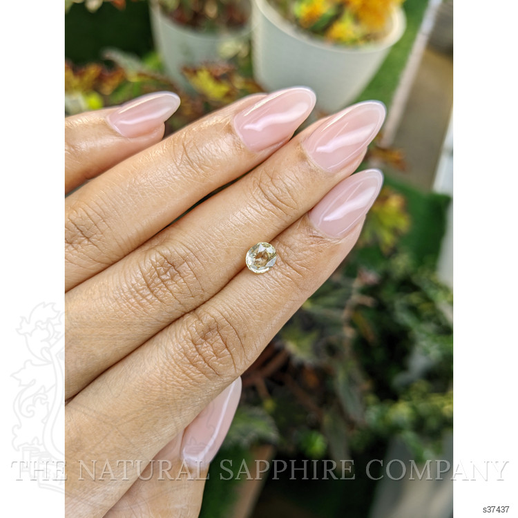 1.16 Ct. Yellow Sapphire from Ceylon (Sri Lanka)