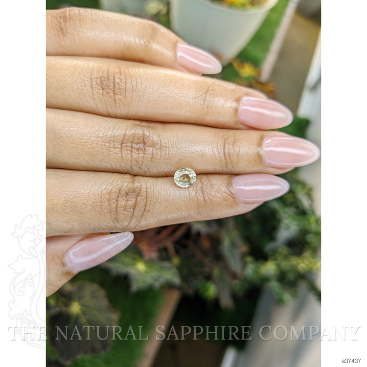 1.16 Ct. Yellow Sapphire from Ceylon (Sri Lanka)