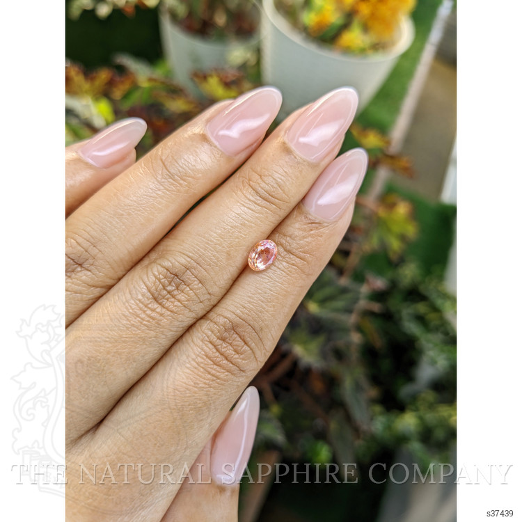 1.20 Ct. Padparadscha Sapphire from Ceylon (Sri Lanka)